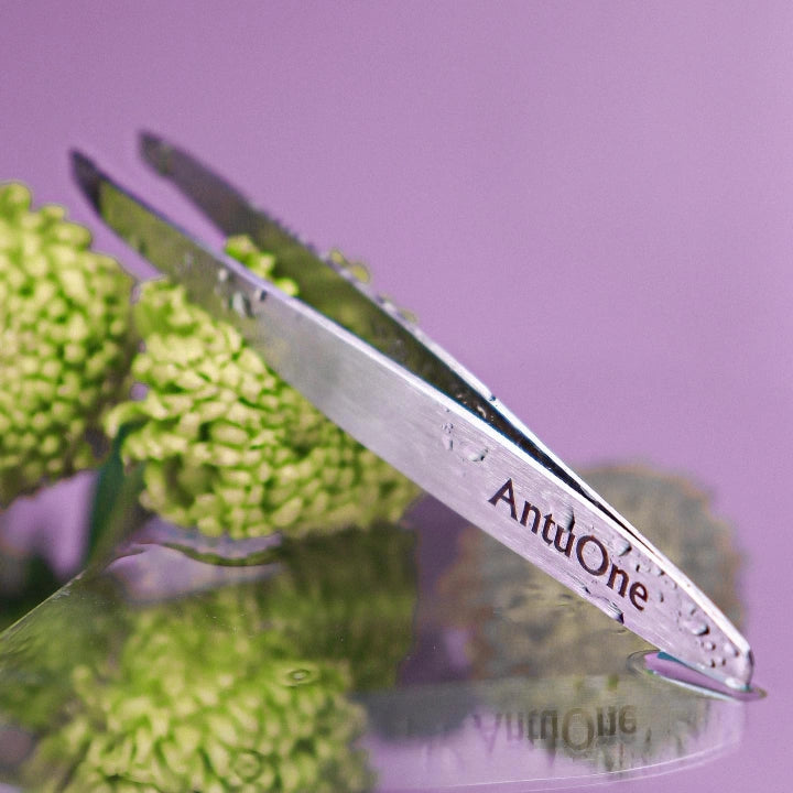 AntuOne Penseta Silver